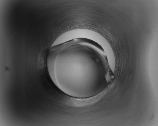 X0000087510039200705181002