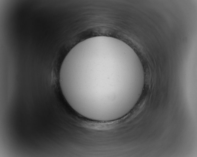 X0000087510040200705181002