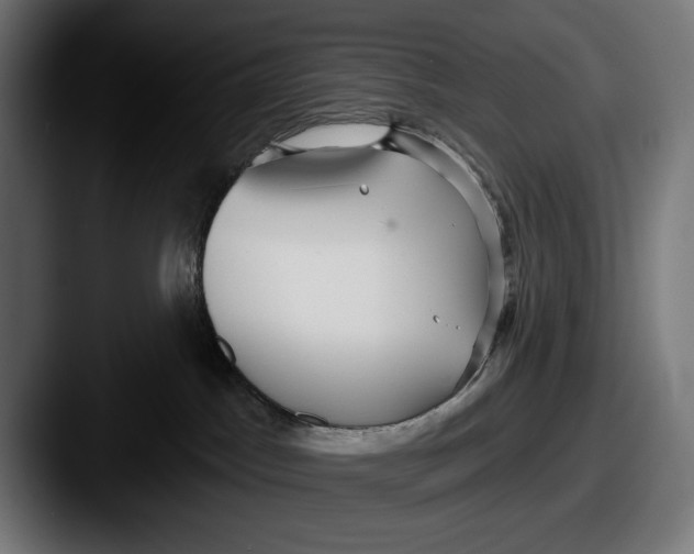 X0000087510045200705181002