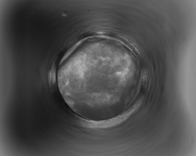 X0000087510046200705181002