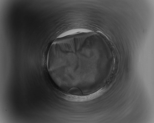 X0000087510048200705181002