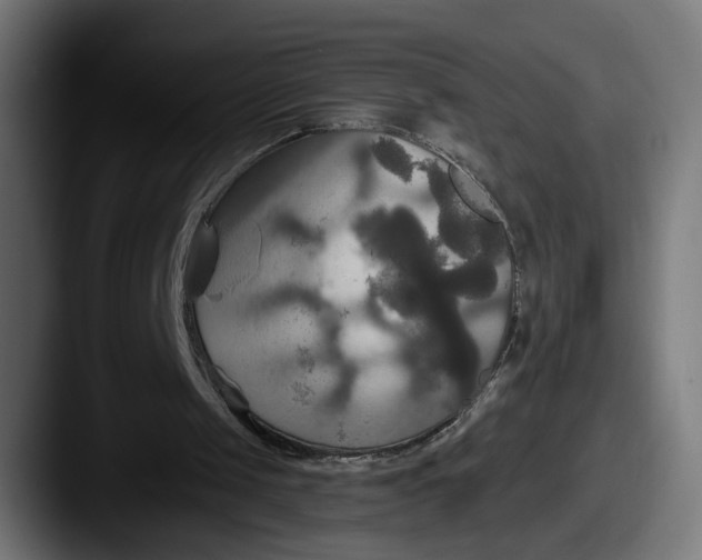 X0000087510049200705181001