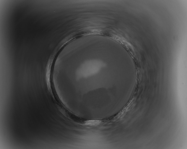 X0000087510051200705181001