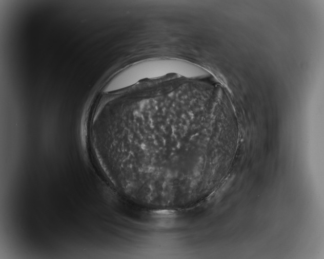 X0000087510053200705181001