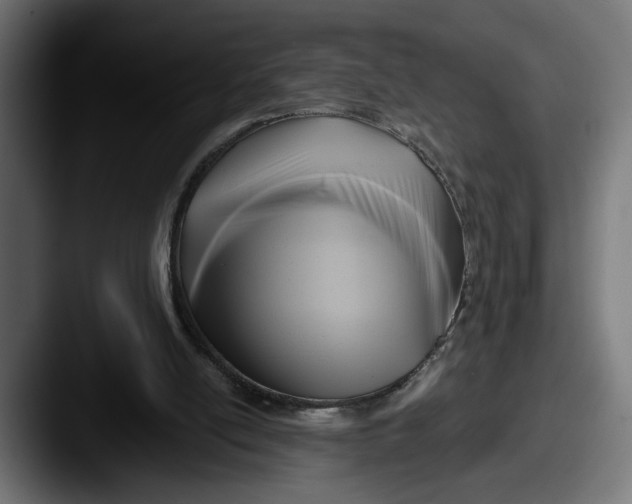 X0000087510054200705181001