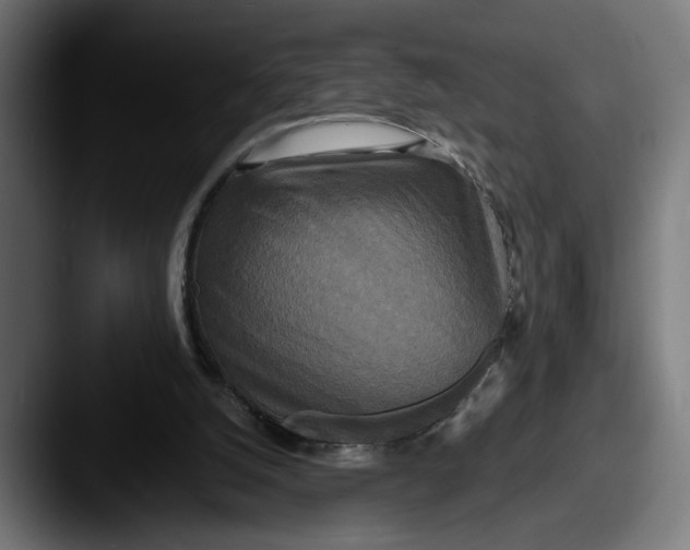 X0000087510056200705181001