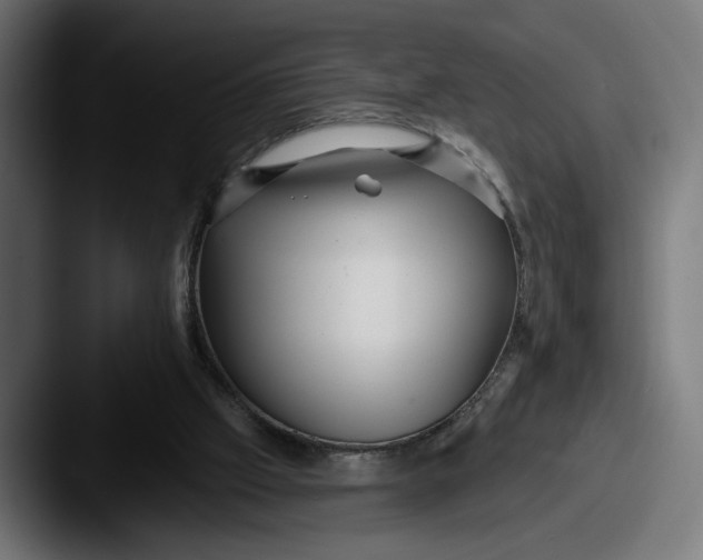 X0000087510057200705181001