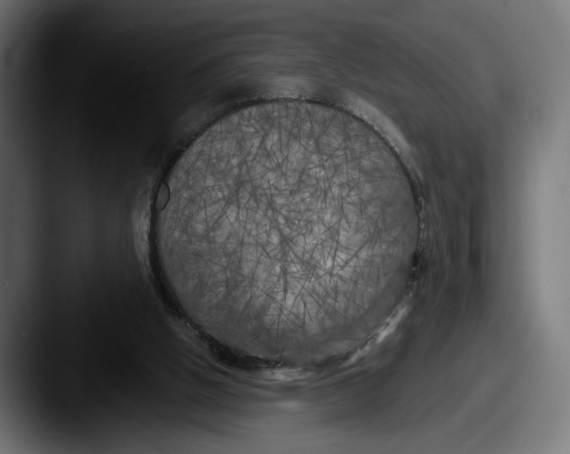 X0000087510058200705181002