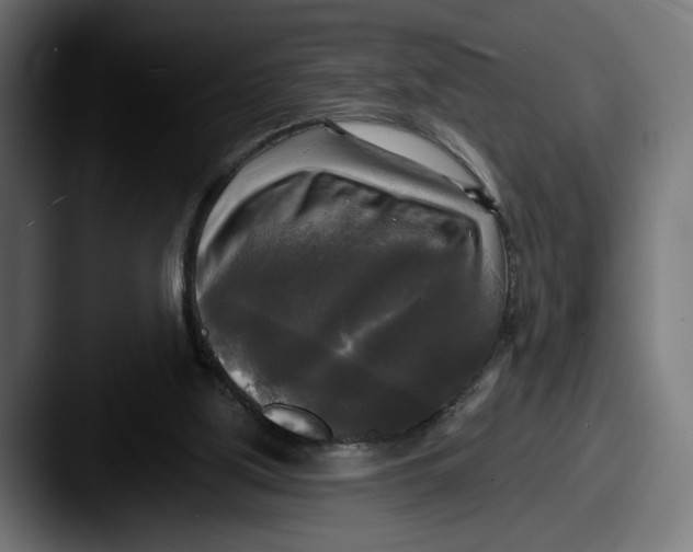 X0000087510059200705181002