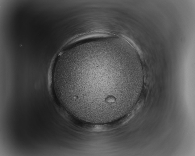 X0000087510060200705181002