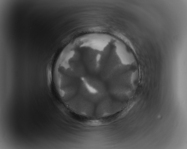 X0000087510061200705181002