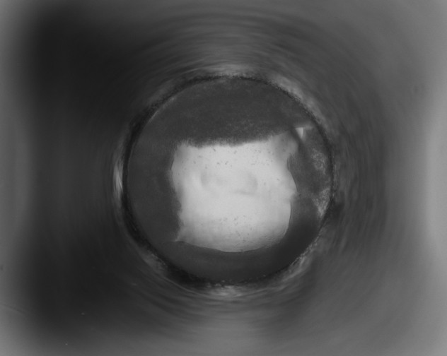 X0000087510062200705181002