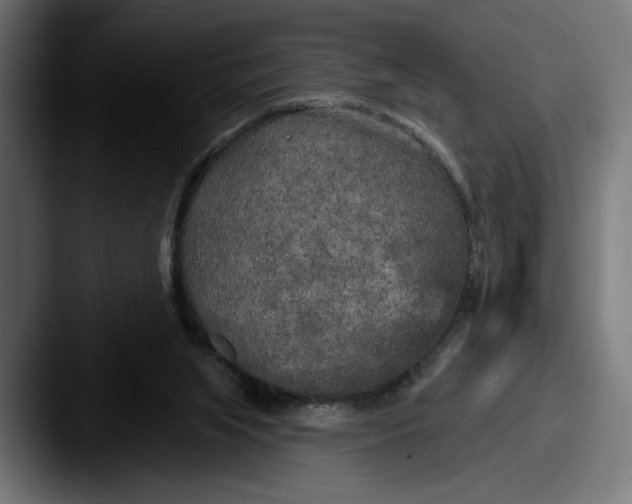 X0000087510063200705181002