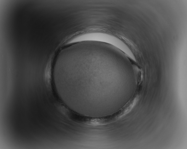 X0000087510064200705181002