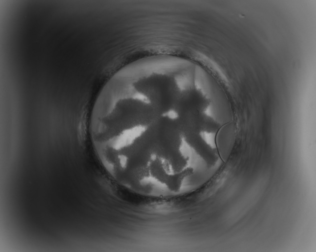 X0000087510065200705181002