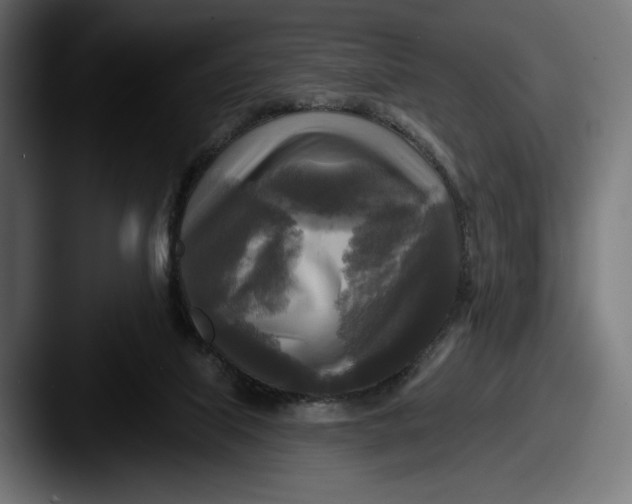 X0000087510067200705181002