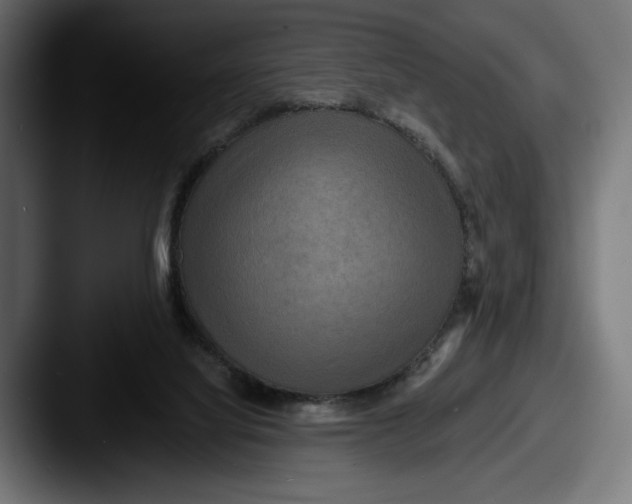 X0000087510068200705181002