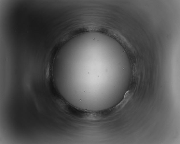 X0000087510074200705181002