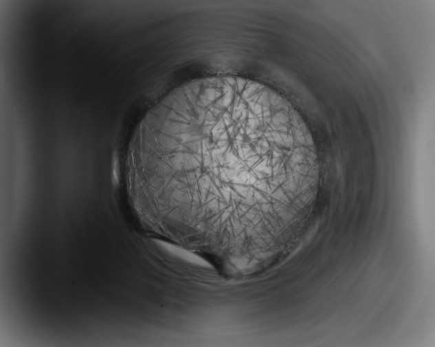 X0000087510075200705181002