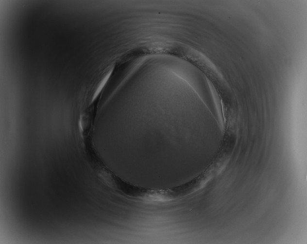 X0000087510076200705181002