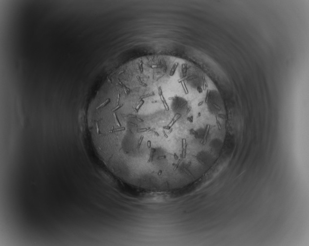 X0000087510077200705181002