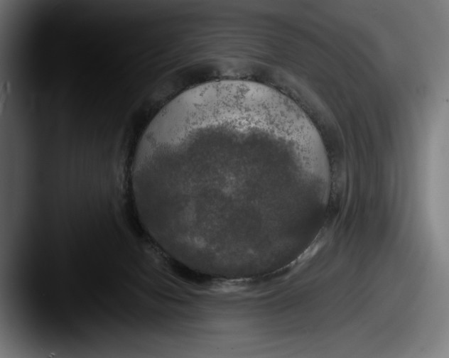 X0000087510078200705181002