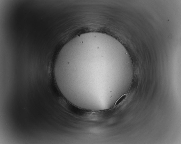 X0000087510082200705181002