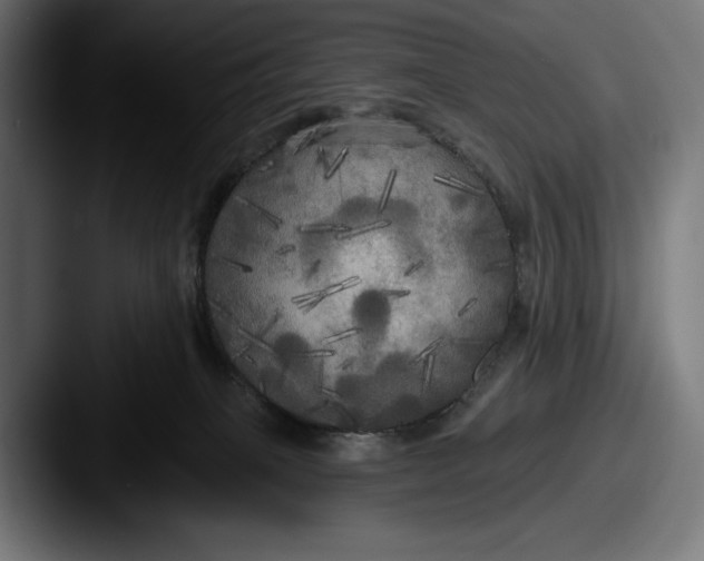 X0000087510085200705181002