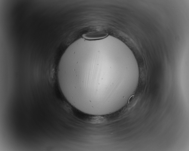 X0000087510087200705181002