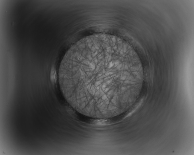 X0000087510089200705181002