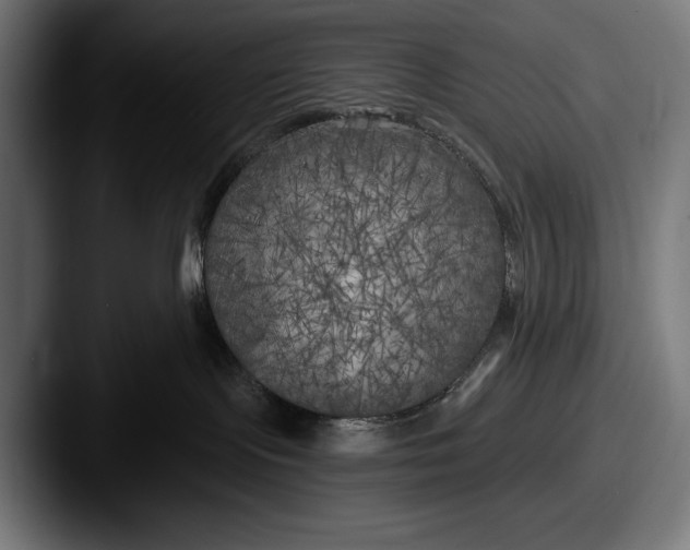 X0000087510095200705181002