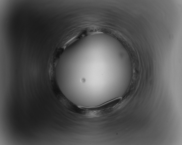 X0000087510096200705181002