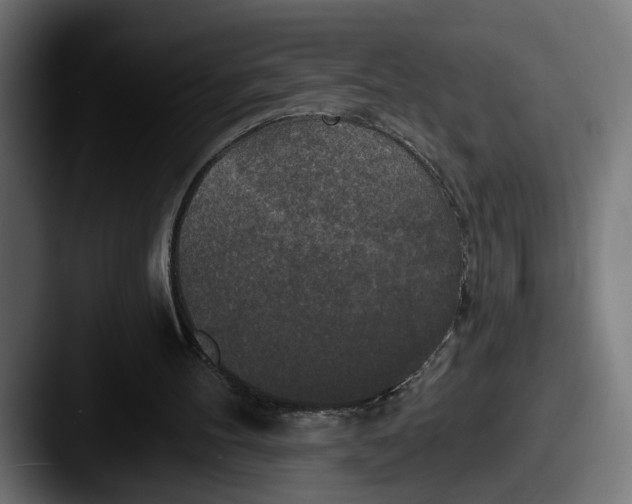 X0000087510100200705181001