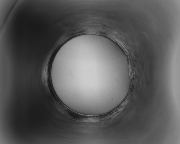 X0000087510102200705181001