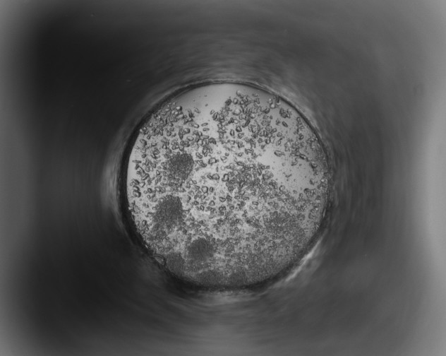 X0000087510103200705181001