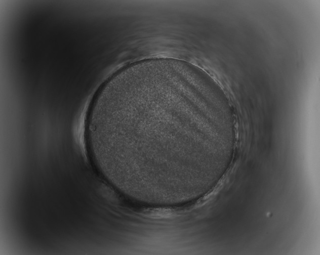 X0000087510104200705181001