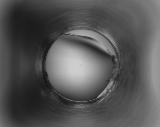 X0000087510105200705181001