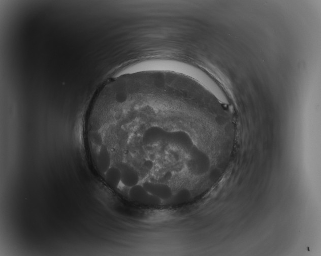 X0000087510107200705181001