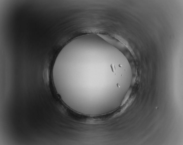 X0000087510109200705181001