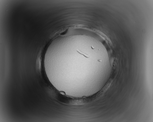 X0000087510110200705181001