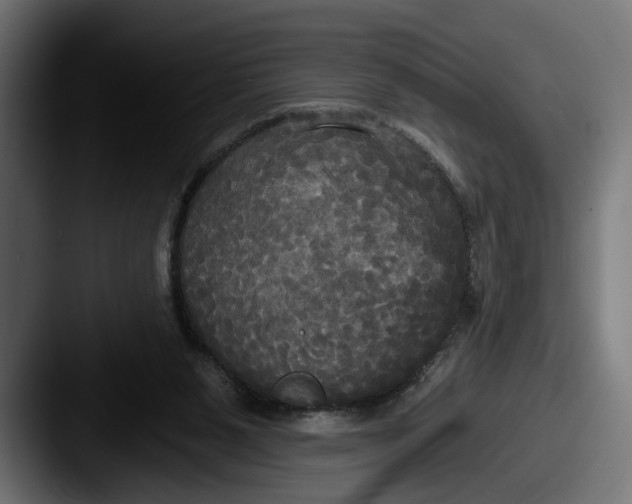 X0000087510111200705181001