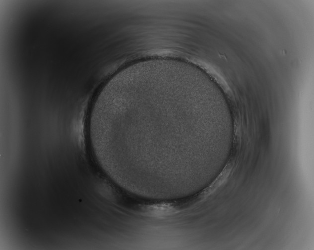 X0000087510112200705181001