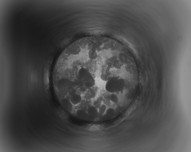 X0000087510115200705181001