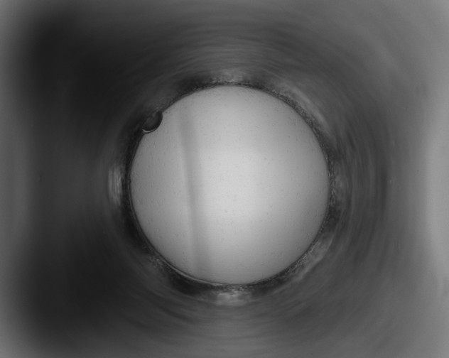 X0000087510118200705181001