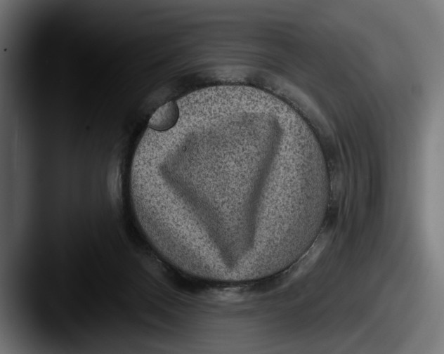 X0000087510120200705181001