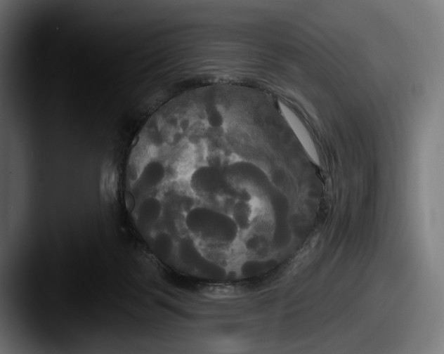 X0000087510123200705181001