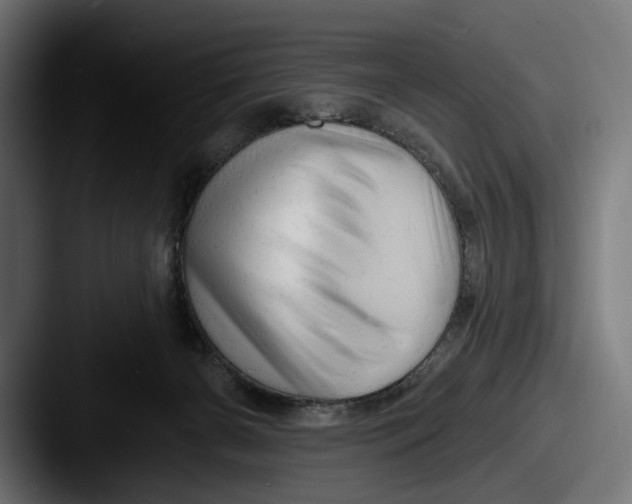 X0000087510126200705181001