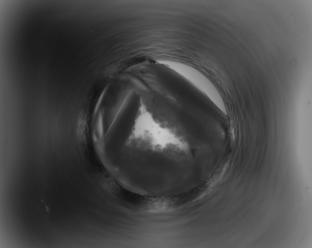 X0000087510127200705181001