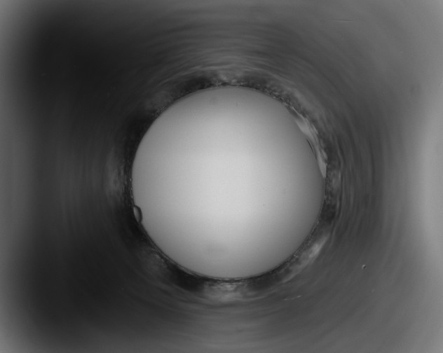 X0000087510129200705181001