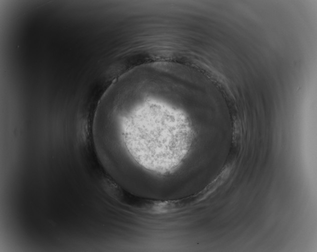 X0000087510130200705181001